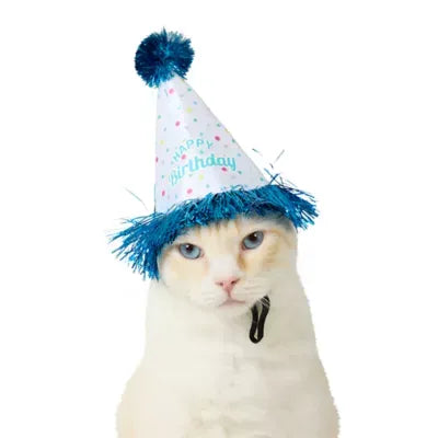 Life of the Party® Birthday Hat