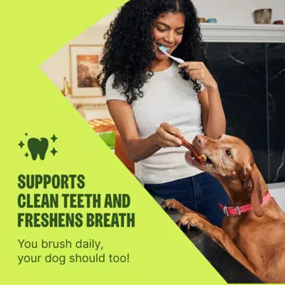 WHIMZEES Brushzees Extra Small Dental Dog Treat - Natural, Grain Free