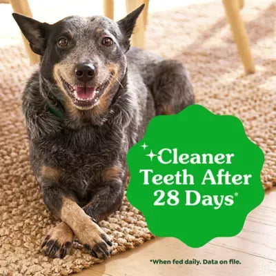 Greenies™ Adult Teenie Dog Dental Treats - Natural, Oral Health, Blueberry