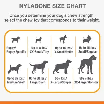 Nylabone® Puppy X-Bone Teething Dog Toy