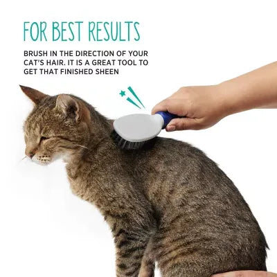 Whisker City® Soft Bristle Cat Grooming Brush