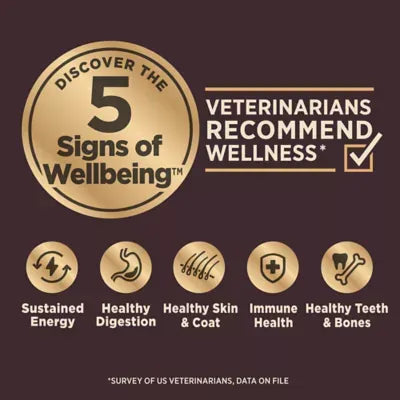 Wellness Core Digestive Health Adult Dry Dog Food - With-Grain, Chicken & Brown Rice
