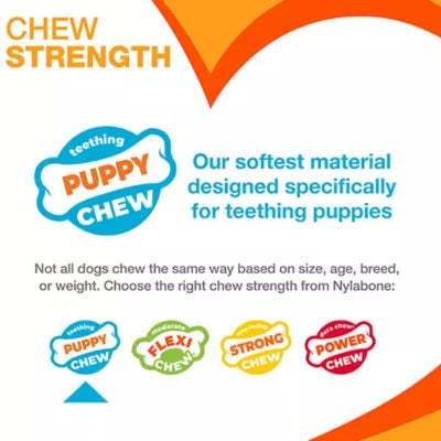 Nylabone® Puppy Teething Freezer Chew Dog Toy, Peanut Butter Flavor