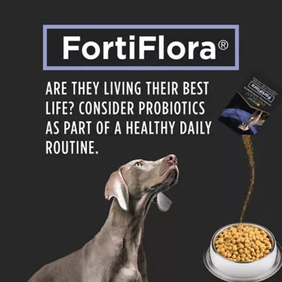 Purina Pro Plan Veterinary Supplements Canine Probioti FortiFlora Powdered Dog Supplement