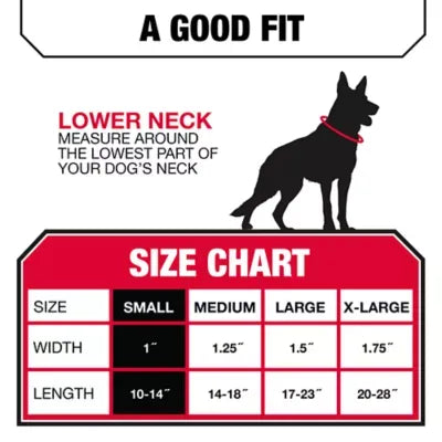 KONG® Chew Resistant Adjustable Nylon Dog Collar