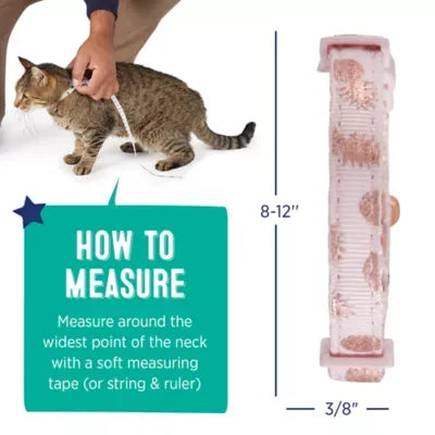 Whisker City® Pink Pineapple Cat Collar, Easy Release Cat Collar, Breakaway Collar, Kitten, Rose