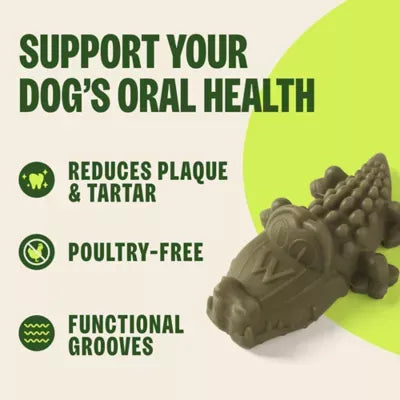 Whimzees Alligator Medium Dog Dental Treats - Vegetable