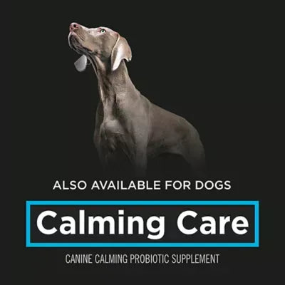 Purina Pro Plan Veterinary Supplements Calming Care Powdered Cat Calming Probiotic, 30 g