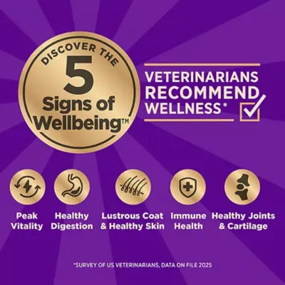 Wellness CORE+ Sensitive Skin & Stomach Adult Dry Dog Food - Salmon & Rice