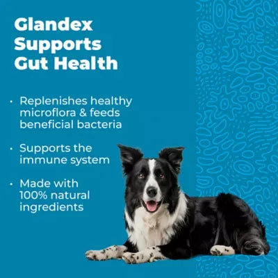 Glandex® Daily Prebiotic & Probiotic Digestive Health Soft Chews for Dogs - Bacon, 60 count