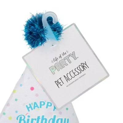 Life of the Party® Birthday Hat