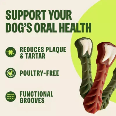 WHIMZEES Brushzees Extra Small Dental Dog Treat - Natural, Grain Free