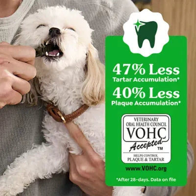 Greenies™ Adult Teenie Dog Dental Treats - Natural, Oral Health, Blueberry