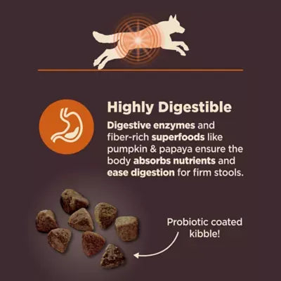 Wellness Core Digestive Health Adult Dry Dog Food - With-Grain, Chicken & Brown Rice