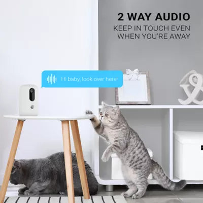 Instachew Purechew Dog and Cat Automatic Treat Dispenser and Motion Sensor Monitoring Camera