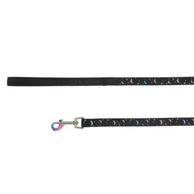 Whisker City® Black Moon Cat Harness and Leash Combo Set