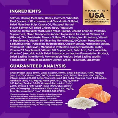 Wellness CORE+ Sensitive Skin & Stomach Adult Dry Dog Food - Salmon & Rice