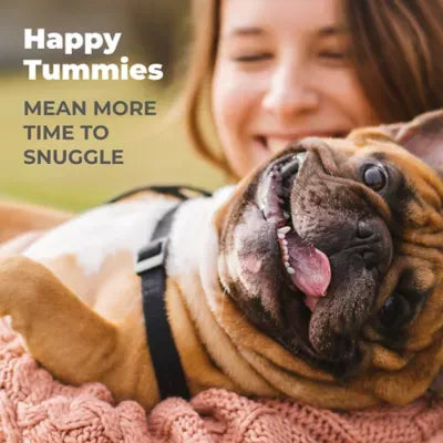 Glandex® Daily Prebiotic & Probiotic Digestive Health Soft Chews for Dogs - Bacon, 60 count