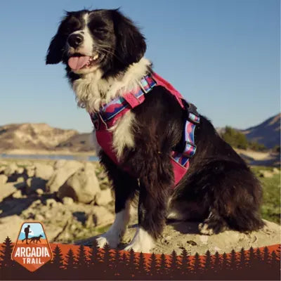 Arcadia Trail® Waterproof Windbreaker