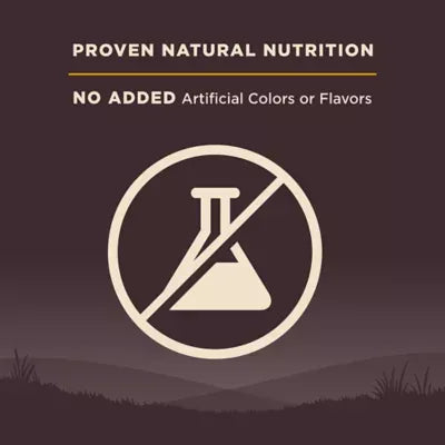 Wellness® CORE® Large Breed Adult Dry Dog Food - Natural, Grain Free