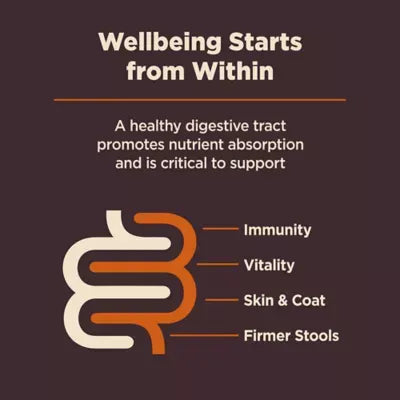 Wellness Core Digestive Health Adult Dry Dog Food - With-Grain, Chicken & Brown Rice