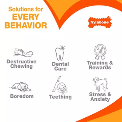Nylabone® Puppy Teething Freezer Chew Dog Toy, Peanut Butter Flavor