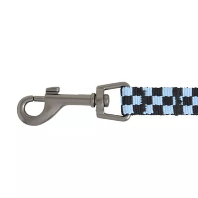 Whisker City® Cat Leash & Cat Harness, Combo, Kitten Size Available, Blue Checkered