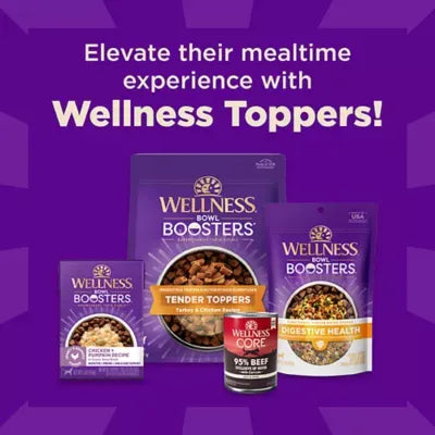 Wellness CORE+ Sensitive Skin & Stomach Adult Dry Dog Food - Salmon & Rice