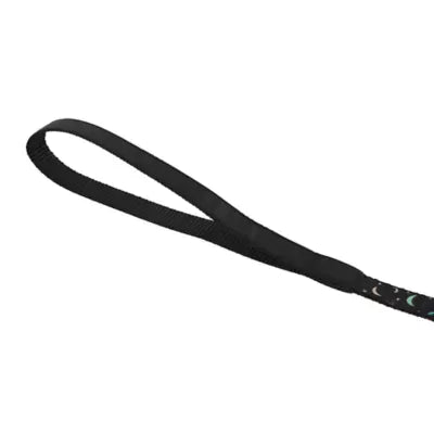 Whisker City® Black Moon Cat Harness and Leash Combo Set