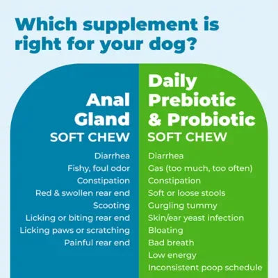 Glandex® Daily Prebiotic & Probiotic Digestive Health Soft Chews for Dogs - Bacon, 60 count