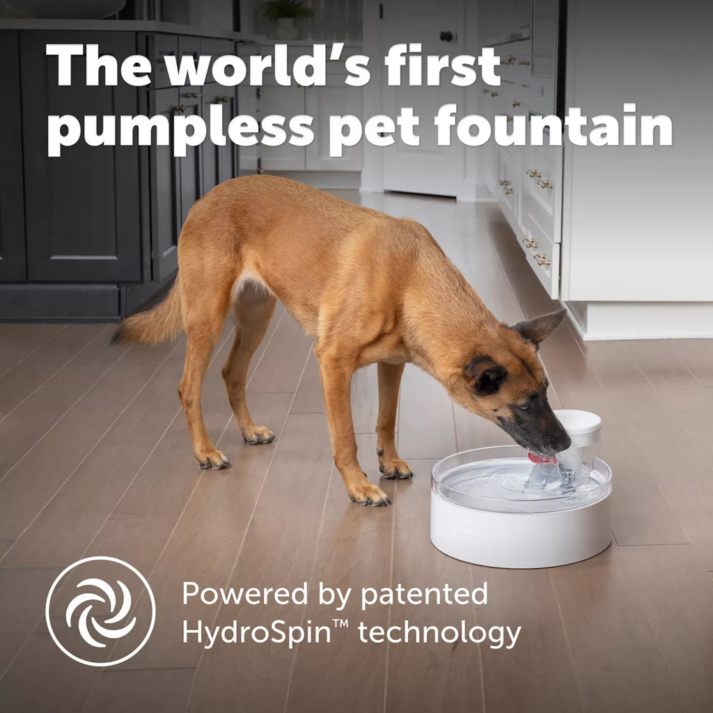 PetSafe® Outlast Pumpless Water Fountain 128 oz - Dishwasher Safe - Water Filter Included