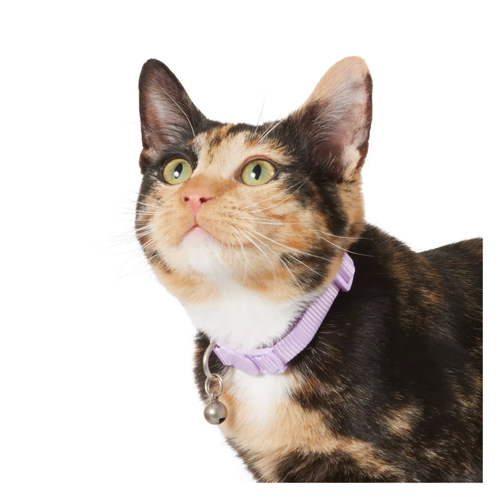 Whisker City® Lavender Cat Collar, Easy Release Cat Collar, Breakaway Collar, Kitten, Purple