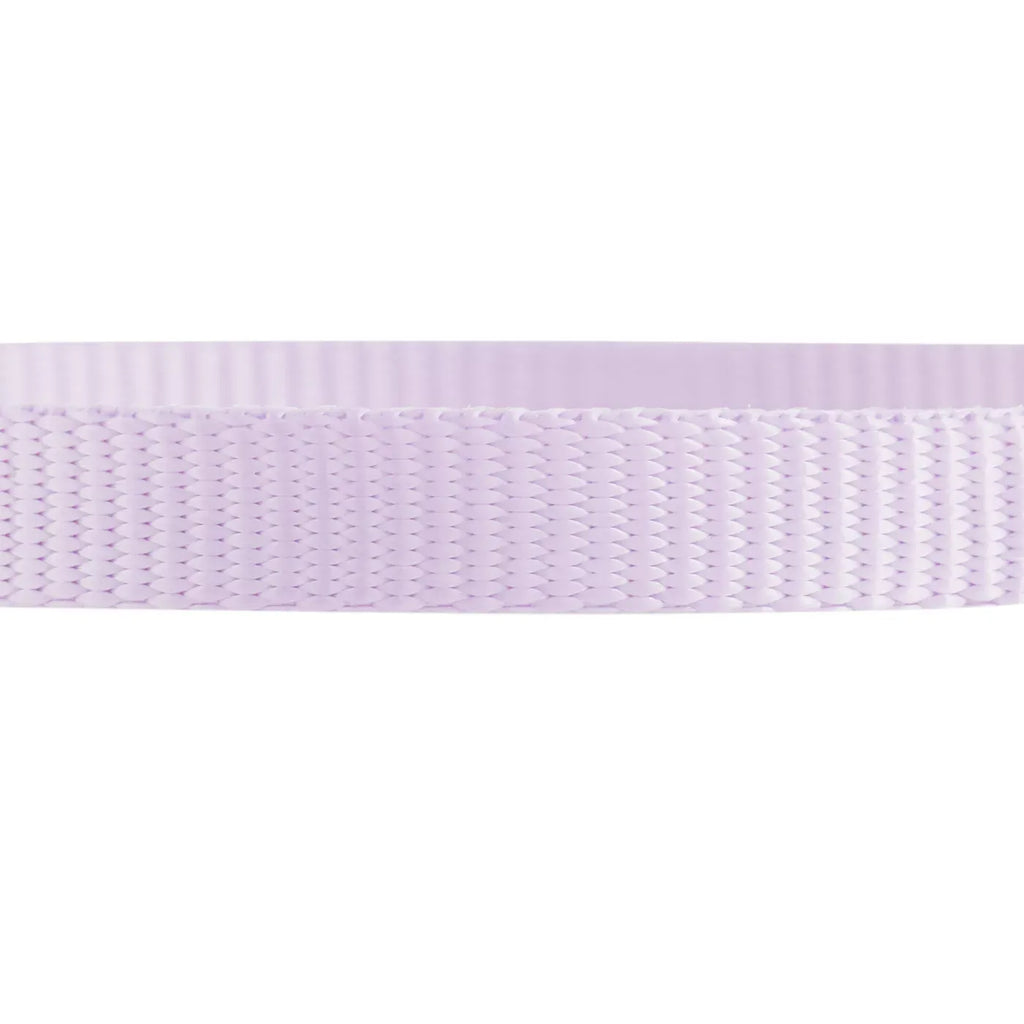 Whisker City® Lavender Cat Collar, Easy Release Cat Collar, Breakaway Collar, Kitten, Purple