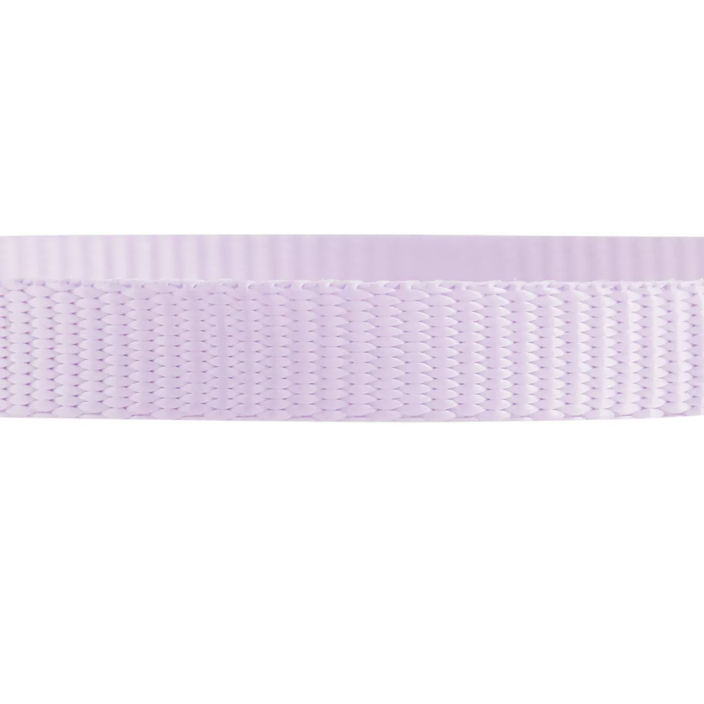 Whisker City® Lavender Cat Collar, Easy Release Cat Collar, Breakaway Collar, Kitten, Purple