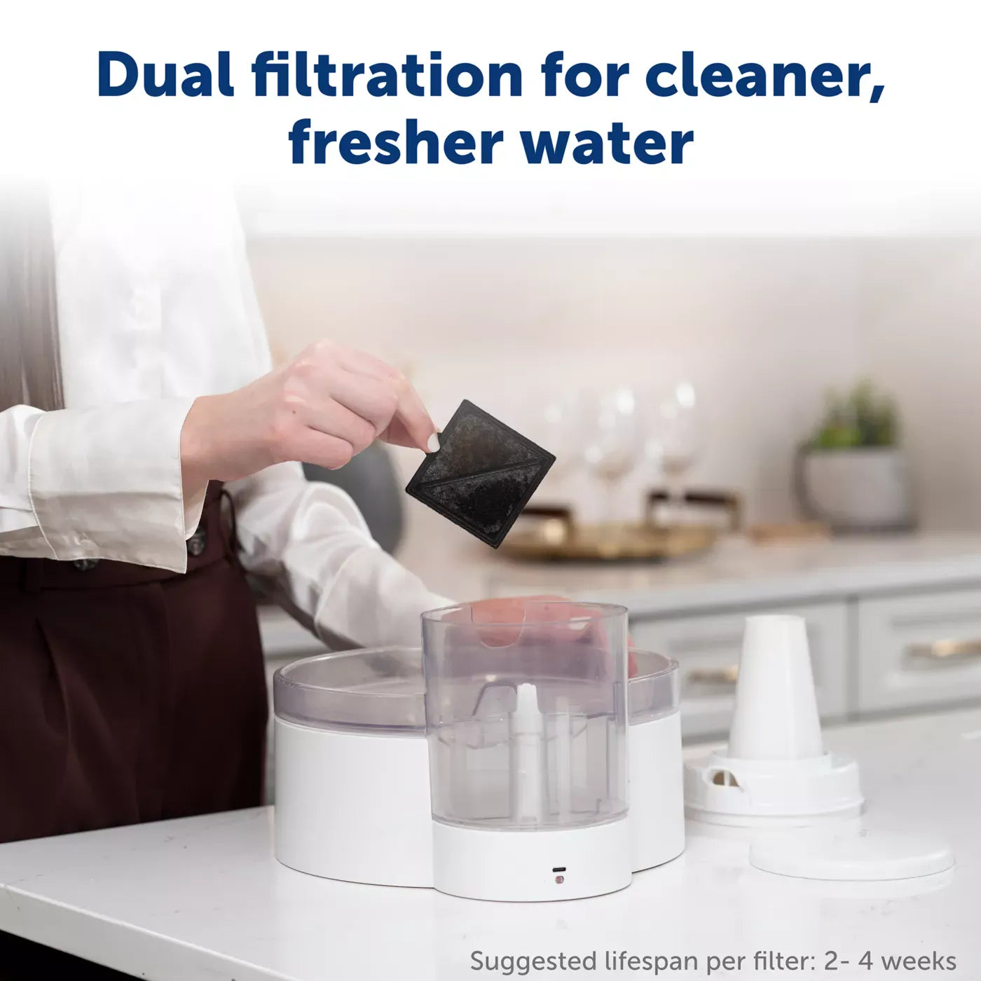 PetSafe® Outlast Pumpless Water Fountain 128 oz - Dishwasher Safe - Water Filter Included