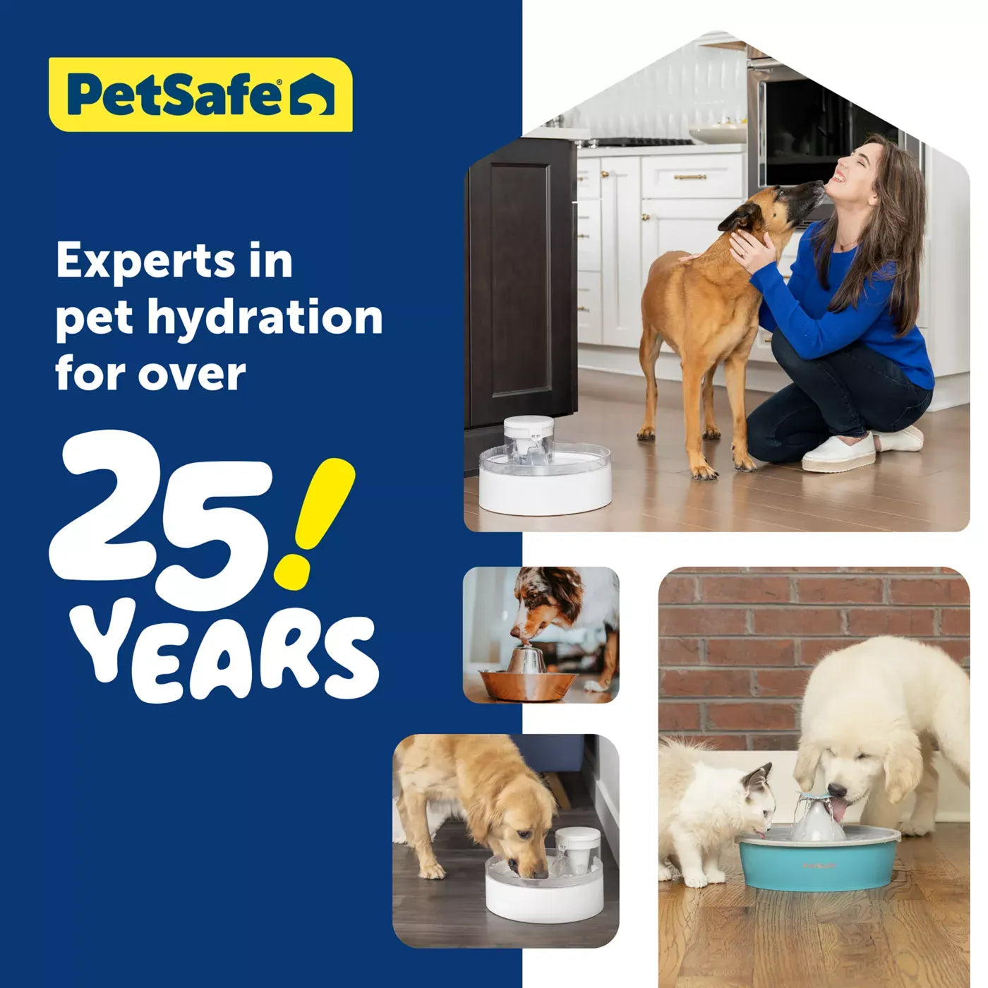 PetSafe® Outlast Pumpless Water Fountain 128 oz - Dishwasher Safe - Water Filter Included