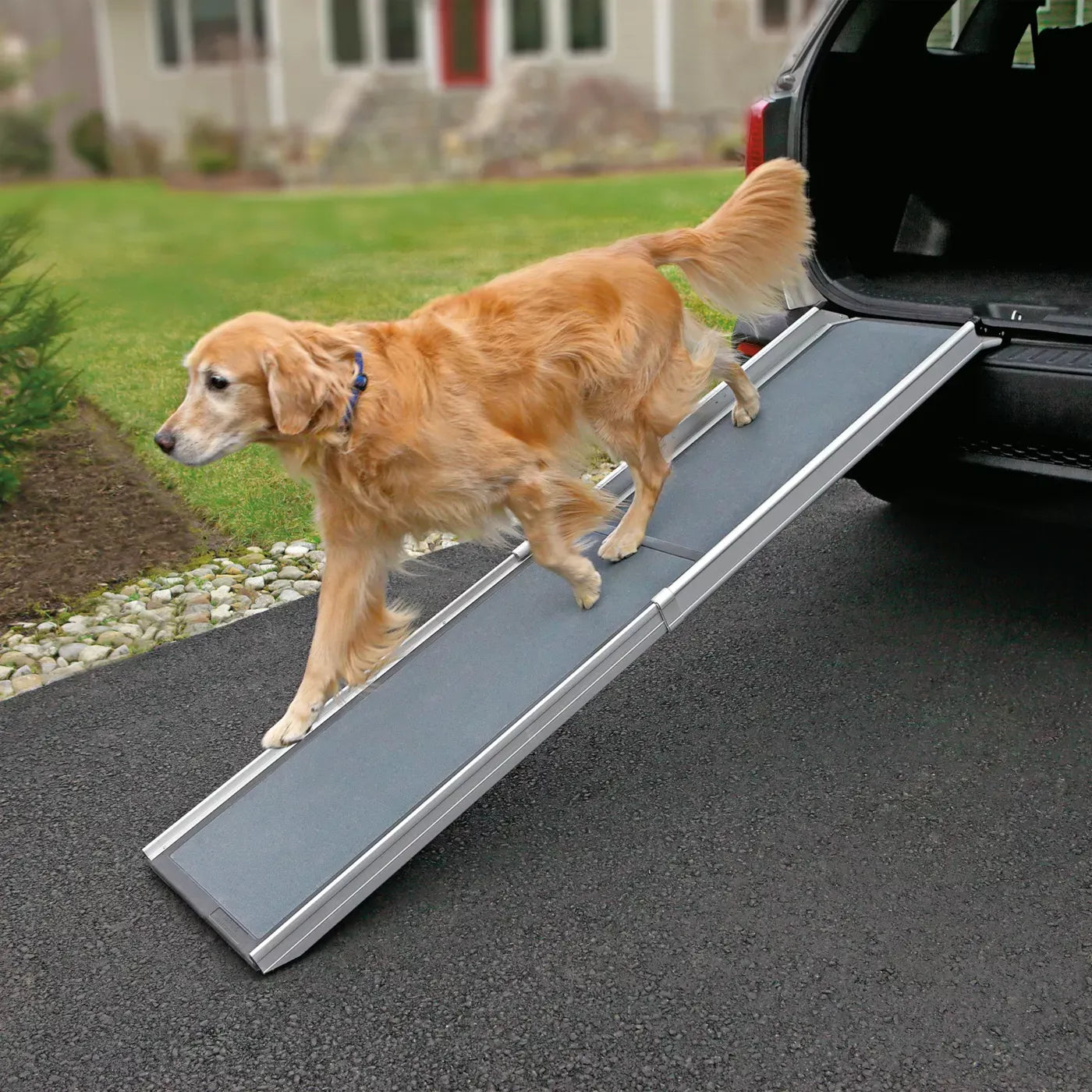Top Paw® Deluxe Telescoping Pet Ramp