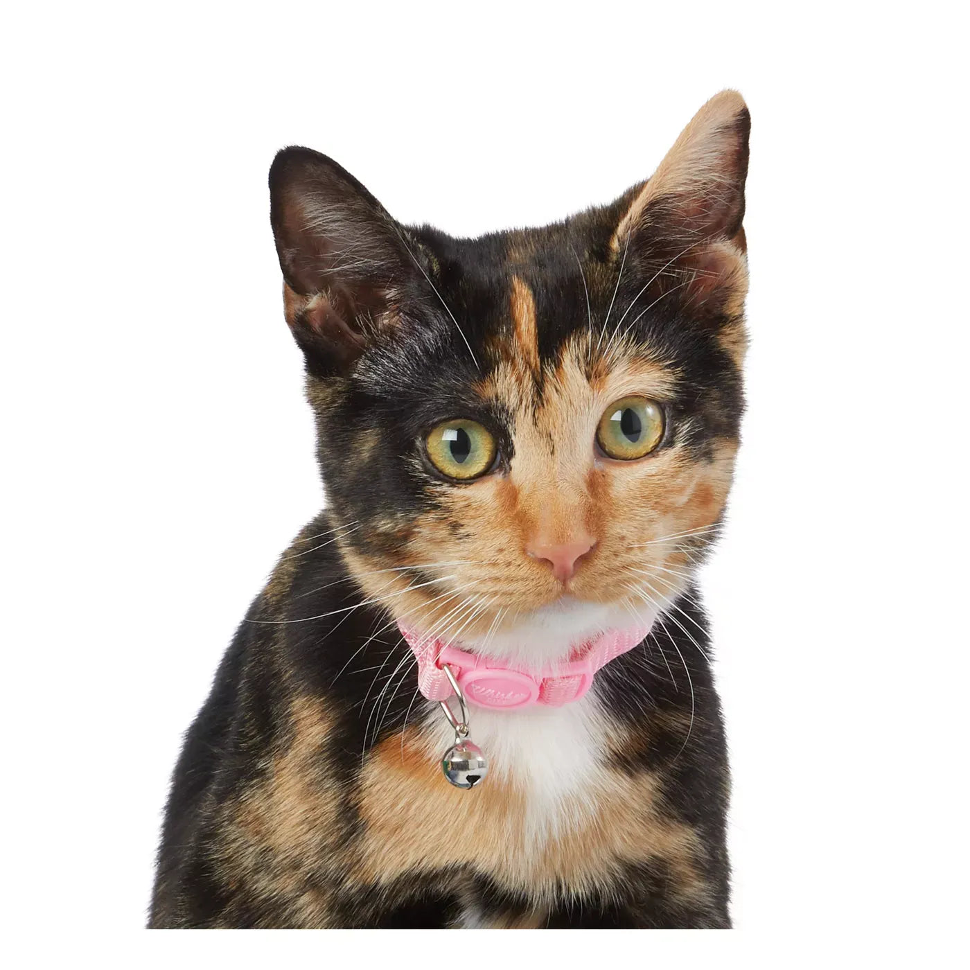 Whisker City® Breakaway Kitten Collar