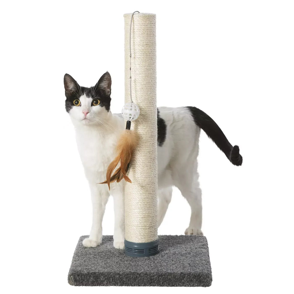 Whisker City® Cat Scratching Post with Catnipi, Sisal, Gray 21.75in tall
