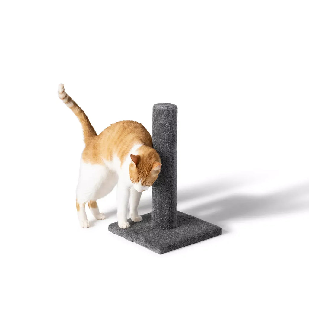 Whisker City® 19-in Gray Carpet Cat Scratching Post