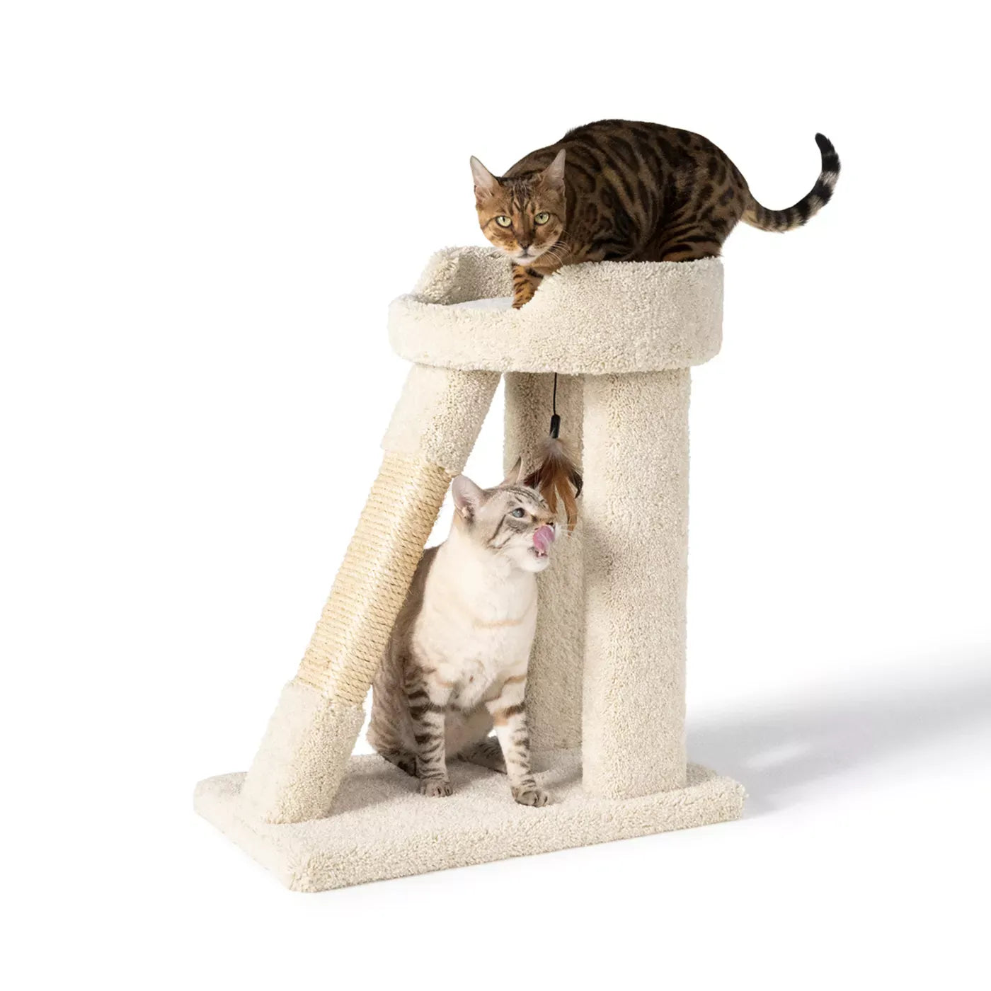 Whisker City® 26-in Short Carpet Cat Tower with Ramp and Rope Scratching Post