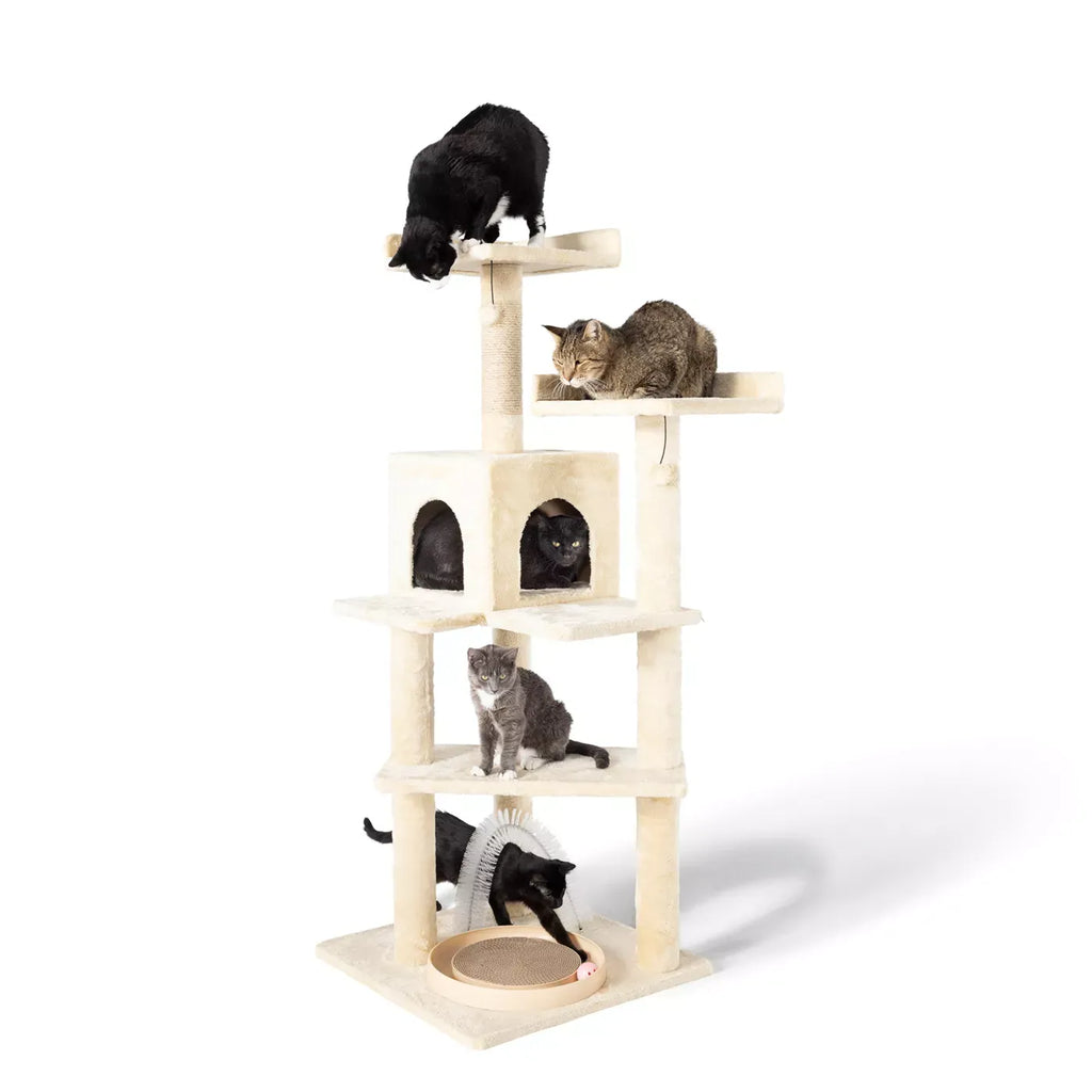 Whisker City® 60-in Playbox, Ball Track with Scratcher Toys Cat Tree, Scratching Post, White, Tan