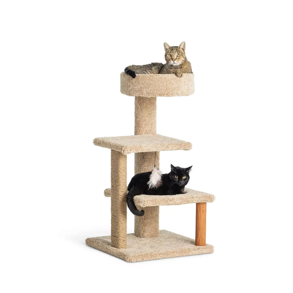 Whisker City® 37-in Cozy Climber Carpet 3-Level Cat Tower with Scratching Post (COLOR VARIES)