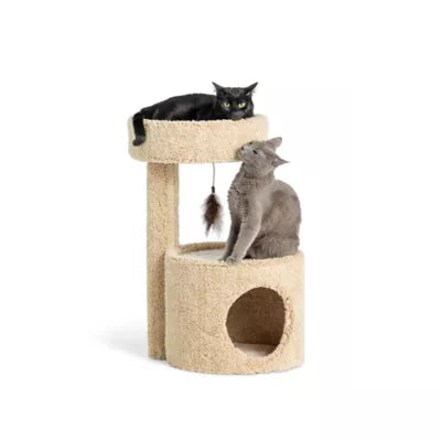 Whisker City® 27-in Carpet Cat Condo with Danlging Toy (COLOR VARIES)