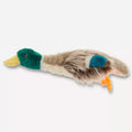 Joyhound® Crazy Comfy Realistic Duck Plush Squeaker Dog Toy