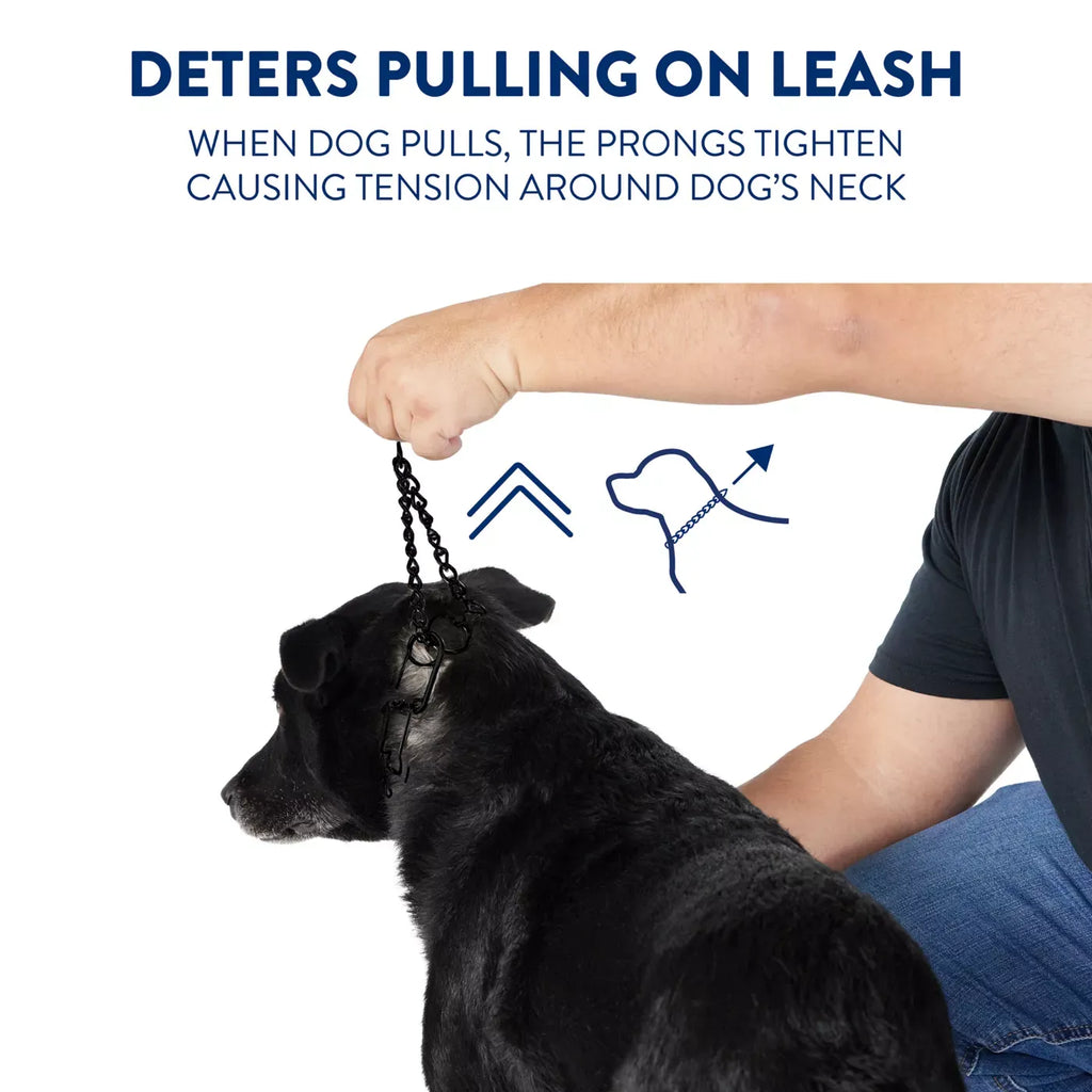 Top Paw® No-Pull, Prong Dog Collar, Black