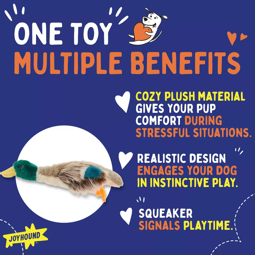 Joyhound® Crazy Comfy Realistic Duck Plush Squeaker Dog Toy