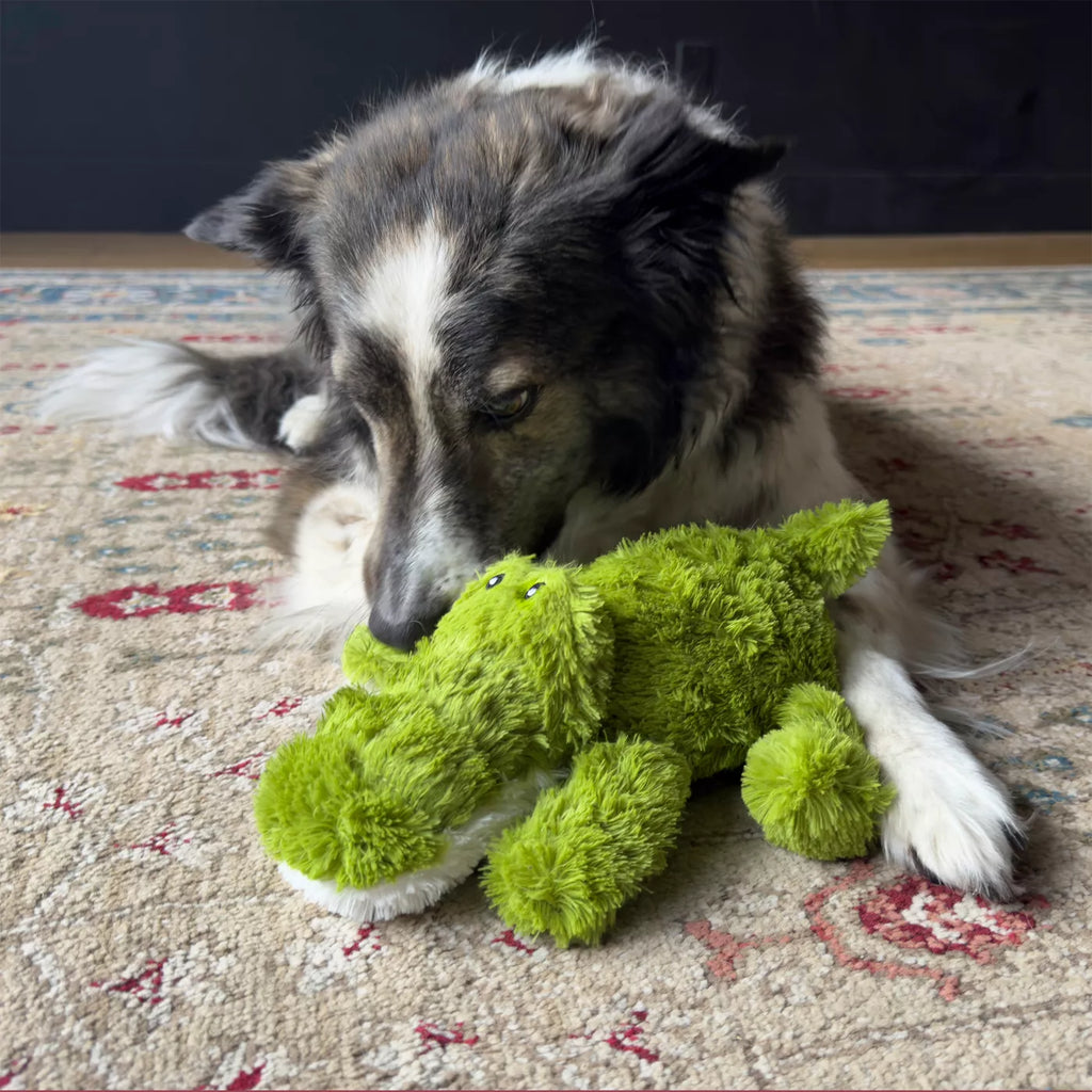 KONG® Ali The Alligator Plush Squeaker Dog Toy