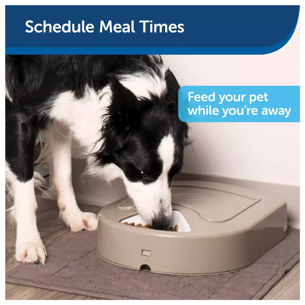 PetSafe® 5 Meal Pet Food Dispenser - Dry or Semi-Moist Pet Food