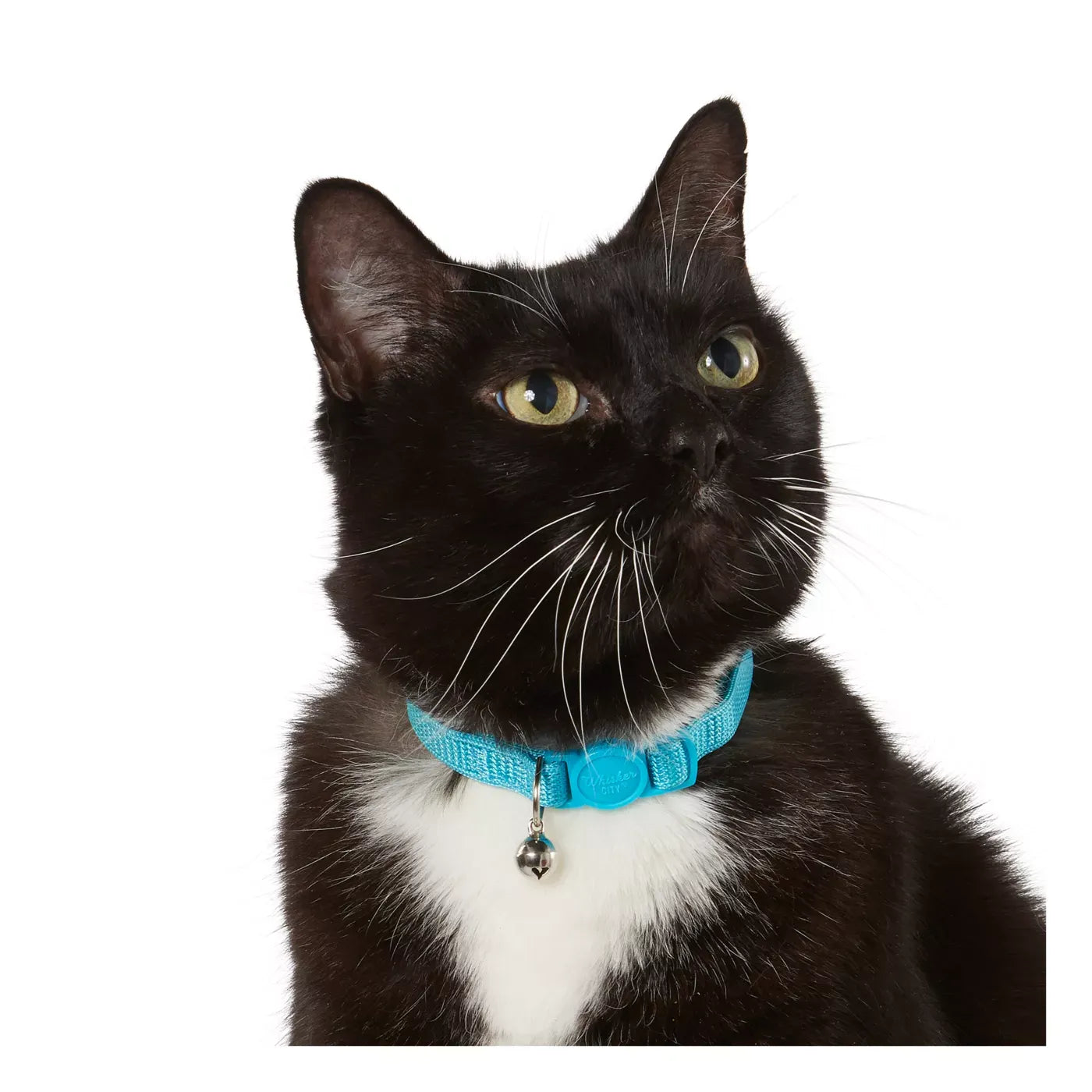 Whisker City® Breakaway Cat Collar